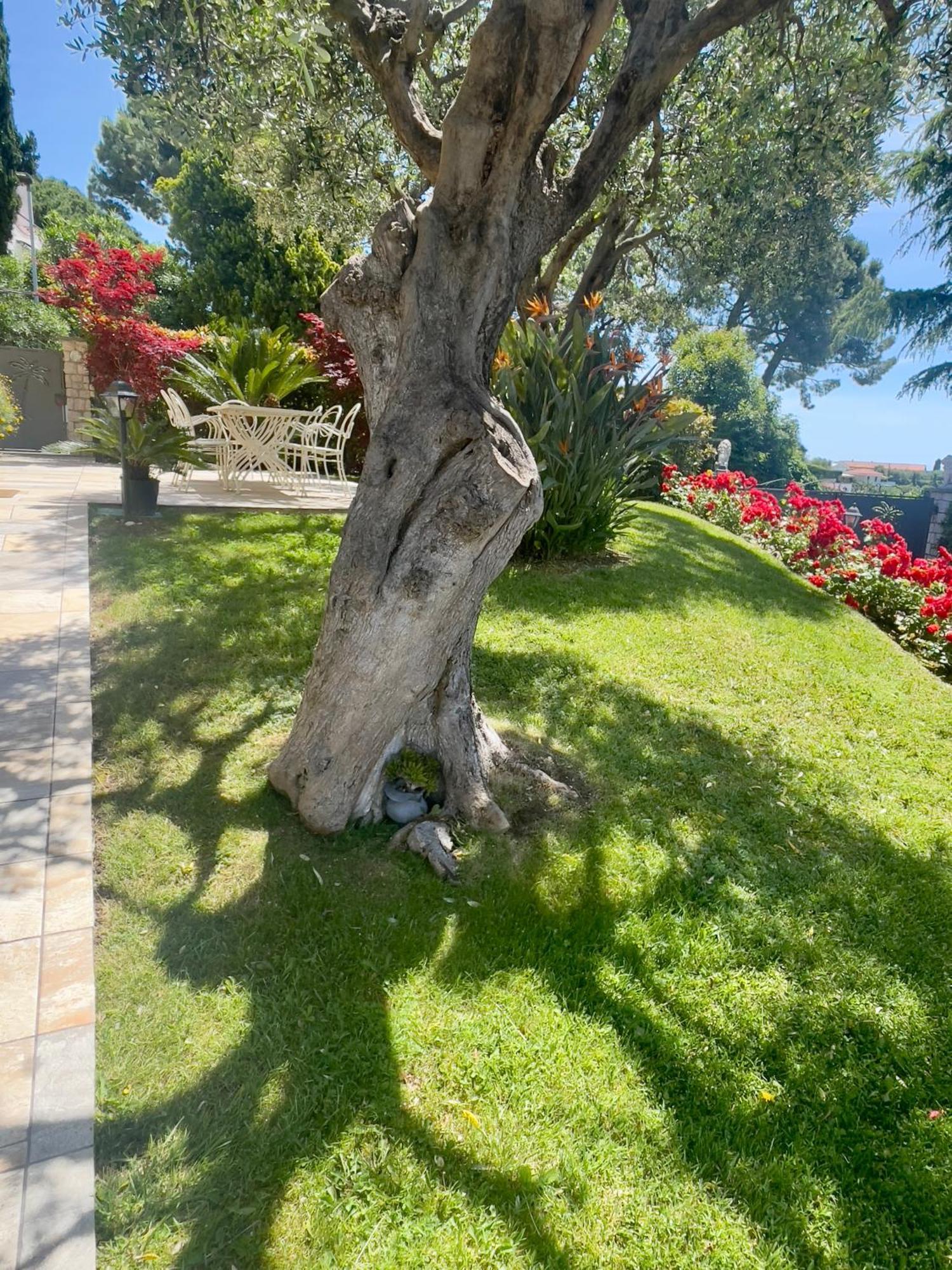Villa Gaia - Luxury Villa, Pool & Wellness Rooms Бордігера Екстер'єр фото